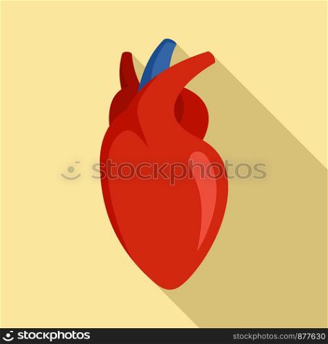 Human heart icon. Flat illustration of human heart vector icon for web design. Human heart icon, flat style