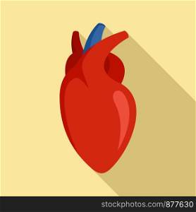 Human heart icon. Flat illustration of human heart vector icon for web design. Human heart icon, flat style