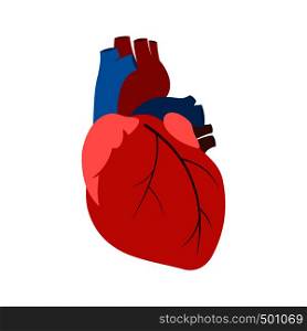Human heart icon in flat style isolated on white background. Human heart icon