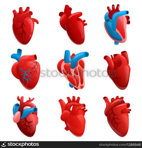 Human heart icons set. Cartoon set of human heart vector icons for web design. Human heart icons set, cartoon style