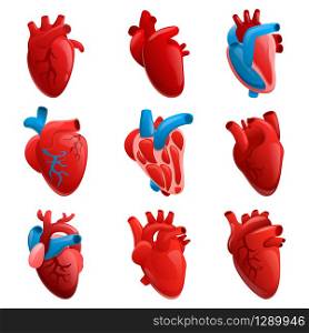 Human heart icons set. Cartoon set of human heart vector icons for web design. Human heart icons set, cartoon style