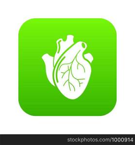 Human heart organ icon green vector isolated on white background. Human heart organ icon green vector