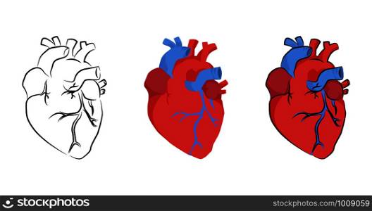 human heart organ in different styles, vector illustration. human heart organ in different styles, vector
