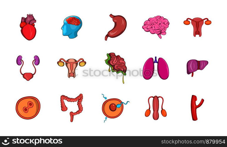 Human internal organ icon set. Cartoon set of human internal organ vector icons for web design isolated on white background. Human internal organ icon set, cartoon style