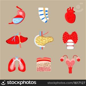 Human internal organs icons set vector. Spinal brain, stomach, heart are shown. Liver, lungs, pancreas are drawn in flat style. Thyroid, skin, biopsy and uterus for medical web, banner, app.. Human internal organs icons set vector. Spinal brain, stomach, heart are shown. Liver, lungs, pancreas are drawn in flat style. Thyroid, skin, biopsy and uterus for medical web, banner