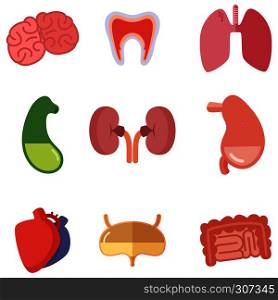 Human internal organs on white background. Vector icons set in cartoon style. Liver and heart, brain and digestive illustration. Human internal organs on white background. Vector icons set in cartoon style