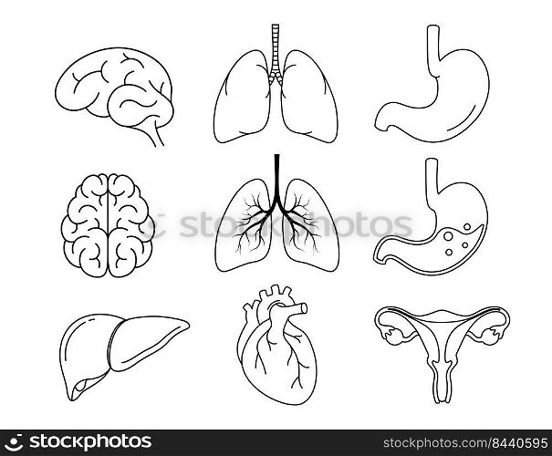 Human Internal Organs Outline Icons Set. Contains such Icons as Reproductive System, Brain, Heart, Lung, Liver and more. Vector illustration.