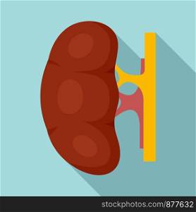 Human kidney icon. Flat illustration of human kidney vector icon for web design. Human kidney icon, flat style