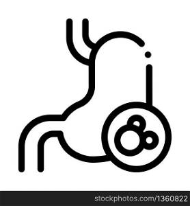 human kidney icon vector. human kidney sign. isolated contour symbol illustration. human kidney icon vector outline illustration
