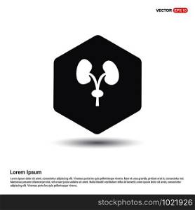 human kidneys icon
