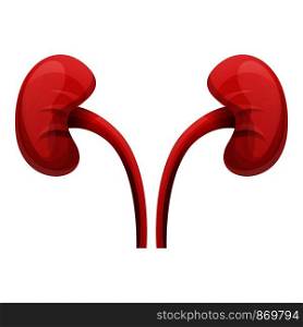 Human kidneys icon. Cartoon of human kidneys vector icon for web design isolated on white background. Human kidneys icon, cartoon style