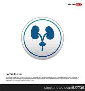 human kidneys icon - white circle button