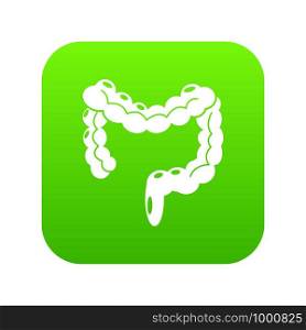Human large intestine icon green vector isolated on white background. Human large intestine icon green vector