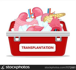 Human organ donor transplantation concept vector for banner, flyer, medical website. Medical red case with ice. World organ Donor Day or Week. Intestine, heart, kidneys, pancreas are shown.. Human organ donor transplantation concept vector for banner, flyer, medical website. Medical red case with ice. World organ Donor Day or Week. Intestine, heart, kidneys, pancreas