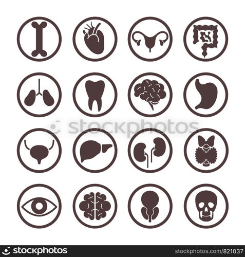Human organ icons. Lungs and kidneys, heart and brain. Stomach and liver, intestines and bladder internal organ vector anatomy body system symbols. Human organ icons. Lungs and kidneys, heart and brain. Stomach and liver, intestines and bladder internal organ vector anatomy symbols