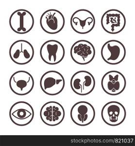 Human organ icons. Lungs and kidneys, heart and brain. Stomach and liver, intestines and bladder internal organ vector anatomy body system symbols. Human organ icons. Lungs and kidneys, heart and brain. Stomach and liver, intestines and bladder internal organ vector anatomy symbols
