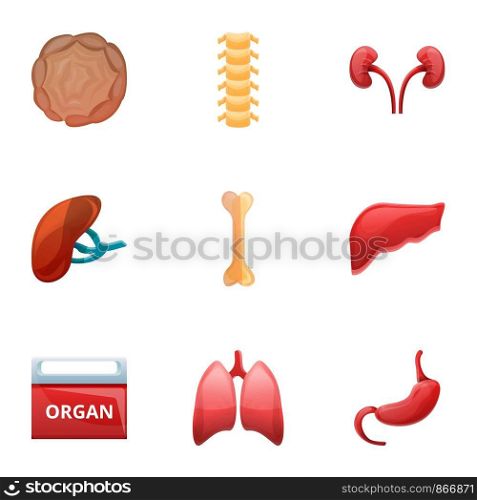 Human organ transplant icon set. Cartoon set of 9 human organ transplant vector icons for web design isolated on white background. Human organ transplant icon set, cartoon style
