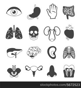 Human organs black and white set of kidney skin liver isolated vector illustration