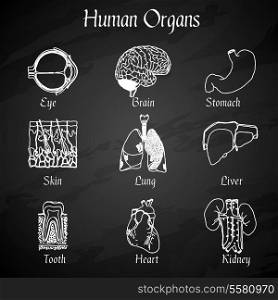 Human organs chalkboard icons set of skin lung liver tooth isolated vector illustration