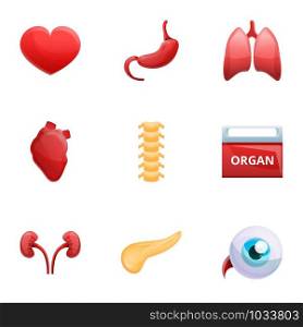 Human organs donation icon set. Cartoon set of 9 human organs donation vector icons for web design isolated on white background. Human organs donation icon set, cartoon style