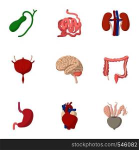 Human organs icons set. Cartoon illustration of 9 human organs vector icons for web. Human organs icons set, cartoon style