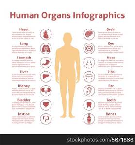 Human organs icons with male figure infographics set vector illustration