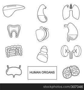 Human organs in outline style. Vector icons set isolate on white background. Human anatomy organ, vector illustration. Human organs in outline style. Vector icons set isolate on white background