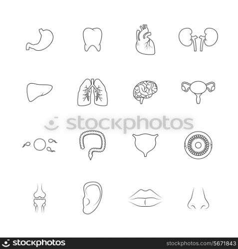 Human organs outline icons set of liver lips ear isolated vector illustration
