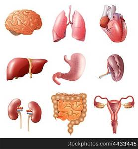 Human Organs Set. Different flat human organs set with brain heart lungs stomach bowels kidneys isolated on white background vector illustration