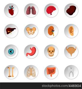 Human organs set icons in flat style isolated on white background. Human organs set flat icons