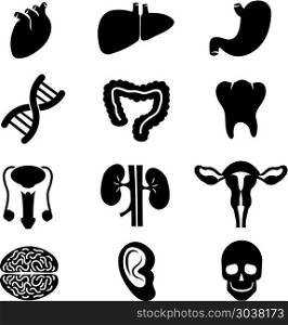 Human organs vector black icons set. Human organs vector black icons set. Brain organ human and health organ stomach kidney and heart illustration