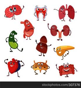 Human organs with funny emotions. Cartoon vector illustration isolate on white background, Cartoon character human organs, vital internal funny organ brain and kidney. Human organs with funny emotions. Cartoon vector illustration isolate on white background