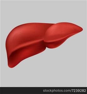 Human realistic liver vector graphic illustration medical organ icon isolated on white background. Flat style design anatomy internal organs symbol body healthcare element. Human realistic liver vector graphic illustration medical organ icon isolated on white background