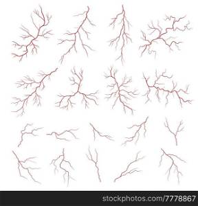 Human red veins, anatomy of blood vein, artery or eye capillary, arteriole and venule. Isolated vector vessels of blood, vascular or circulatory system with branching structure, medicine and science. Human red veins anatomy, blood artery or capillary