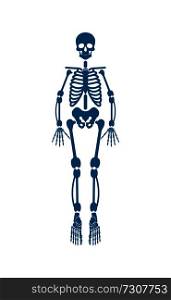 Human skeleton of blue color, body part forming supporting structure of organism, skull and ribs, legs and hands, isolated on vector illustration. Human Skeleton of Blue Color Vector Illustration