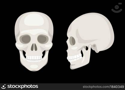 Human skull full face and profile on black background