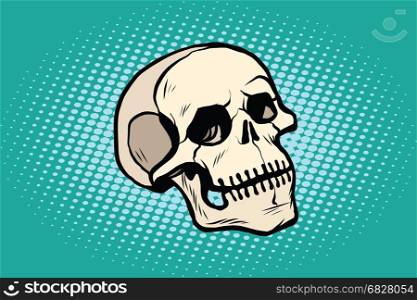human skull head skeleton. Pop art retro vector illustration. human skull head skeleton