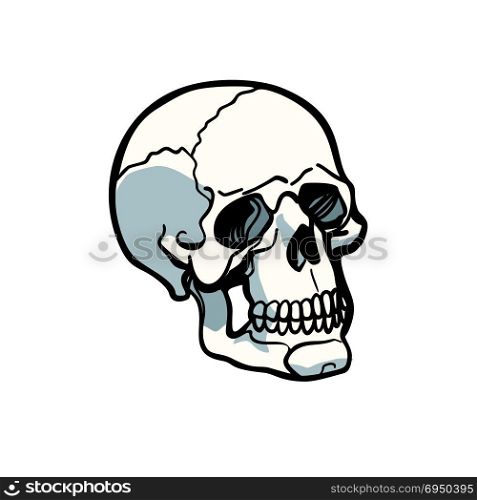 human skull isolated on white background. Comic book cartoon pop art retro illustration vector. human skull isolated on white background