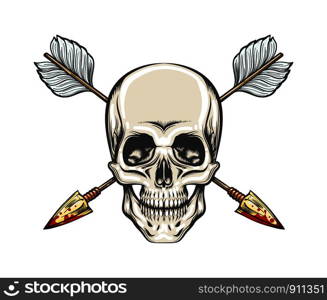 Human Skull with crossed arrows on white background. Vector Illustration in Tattoo style