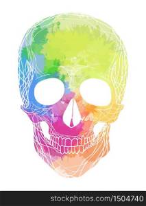 Human skull with rainbow watercolor splashes on a white background. Vector element for your design. Human skull with rainbow watercolor splashes on a white backgrou
