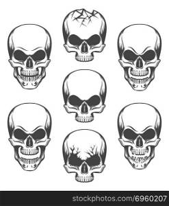 Human skulls set drawn in engraving style. Vector illustration.. Skull set