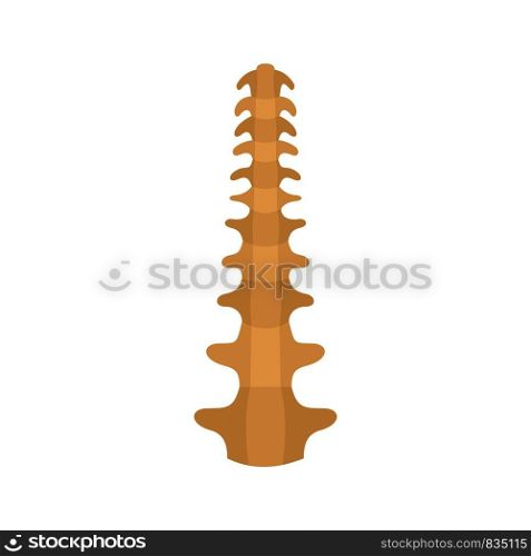 Human spine icon. Flat illustration of human spine vector icon for web isolated on white. Human spine icon, flat style