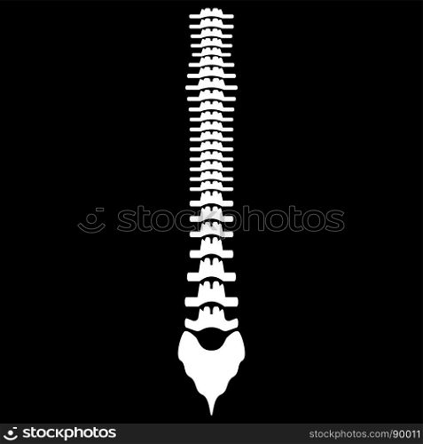 Human spine icon .. Human spine icon .