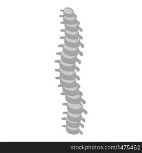 Human spine icon. Isometric of human spine vector icon for web design isolated on white background. Human spine icon, isometric style