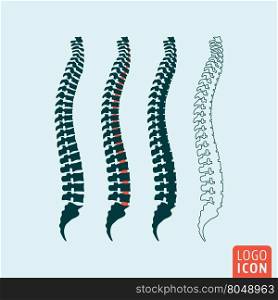 Human spine icon. Spine icon. Human spine diagnostic symbol. Vector illustration