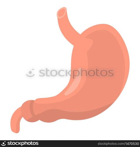 Human stomach icon. Isometric of human stomach vector icon for web design isolated on white background. Human stomach icon, isometric style