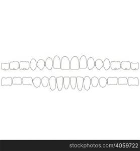 human teeth isometric vector icons set. Dental implant vector flat isometric illustration, Human tooth isolated on white.. dentition