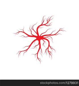 Human veins and arteries illustration design template