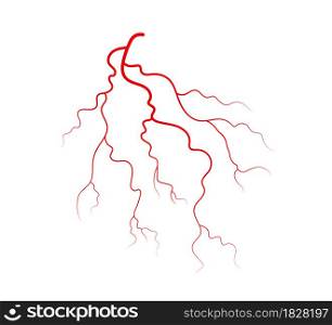 Human veins and arteries. Red branching blood vessels and capillaries. Vector illustration isolated on white background.. Human veins and arteries. Red branching blood vessels and capillaries. Vector illustration isolated on white background