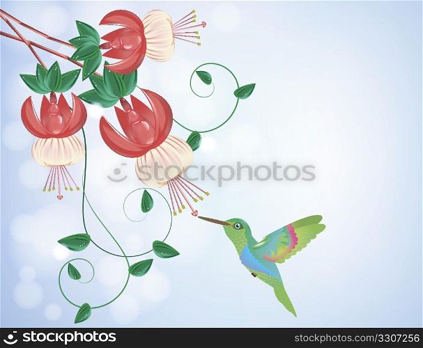 Hummingbird getting nectar from a flower, on a blue background